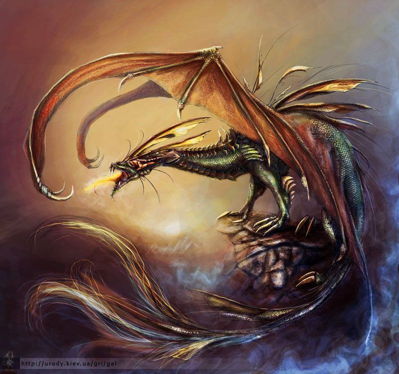 DRAGON - Centerblog